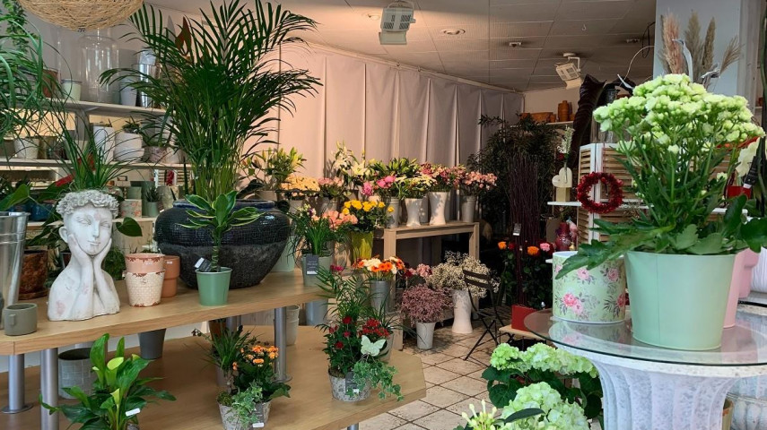A ceder magasin de fleurs centre hagetmau à reprendre - Mont-de-Marsan et arrond. (40)